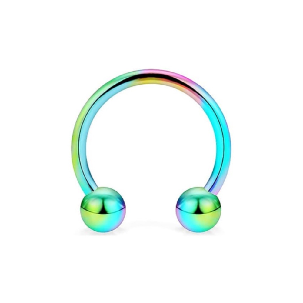 Rainbow Stainless Steel Horseshoe Barbell